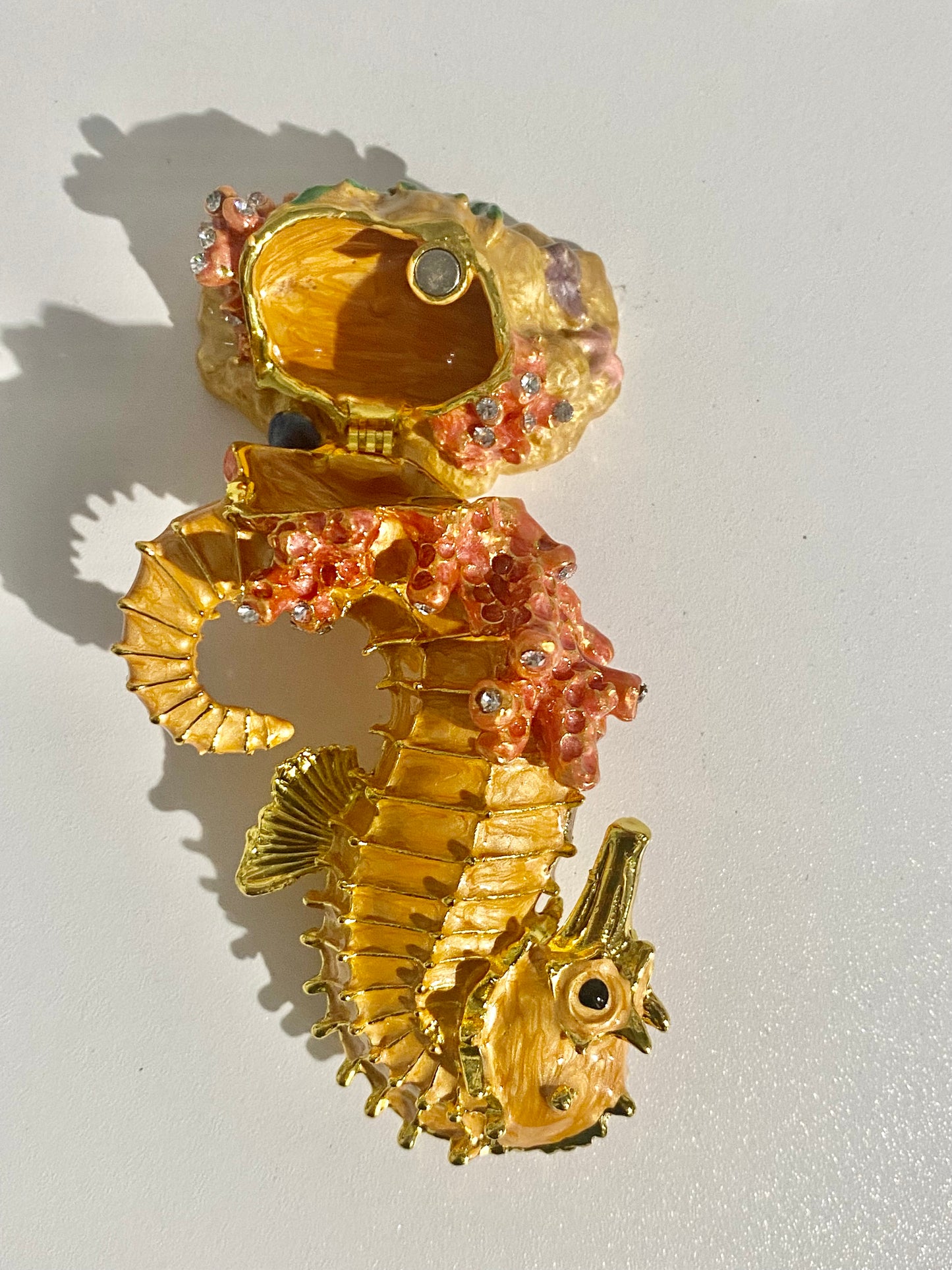 Orange Sea Horse Trinket Box